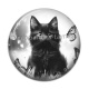 Cabochon Résine - chaton