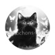 chaton