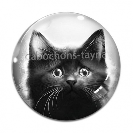 Cabochon Verre - chat