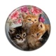 Cabochon Résine - chat