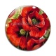Cabochon Verre - coquelicot