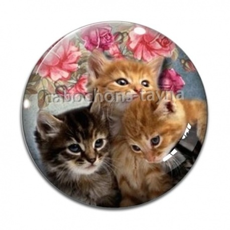 Cabochon Verre - chat