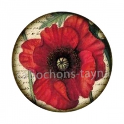 coquelicot