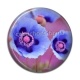 Cabochon Résine - coquelicot