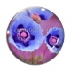 Cabochon Verre - coquelicot