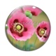 Cabochon Verre - coquelicot