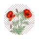 coquelicot