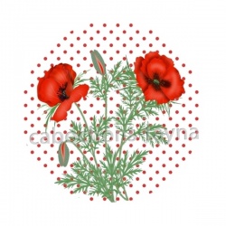 coquelicot