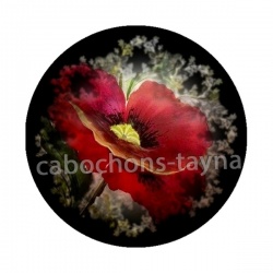 coquelicot