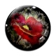 Cabochon Verre - coquelicot