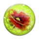 Cabochon Verre - coquelicot