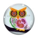 Cabochon Verre - chouette