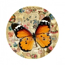 papillon