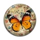 Cabochon Résine - papillon