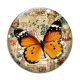 Cabochon Verre - papillon