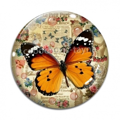 Cabochon Verre - papillon