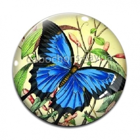 Cabochon Verre - papillon