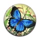 Cabochon Résine - papillon
