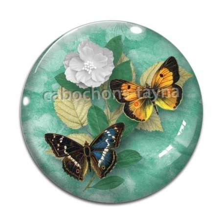 Cabochon Verre - papillon