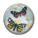 Cabochon Résine - papillon