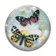 Cabochon Verre - papillon
