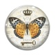 Cabochon Verre - papillon