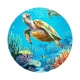tortue