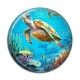 Cabochon Résine - tortue