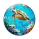 Cabochon Verre - tortue