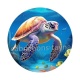 tortue