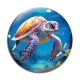 Cabochon Verre - tortue