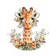 girafe