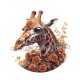 girafe
