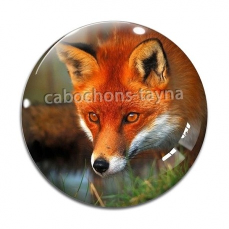 Cabochon Verre - girafe