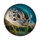 tortue