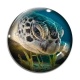 Cabochon Verre - tortue