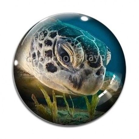 Cabochon Verre - tortue