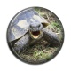 Cabochon Résine - tortue