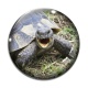 Cabochon Verre - tortue