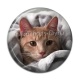 Cabochon Résine - chat