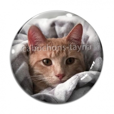 Cabochon Verre - chat