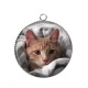 Pendentif Cabochon Argent - chat