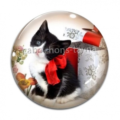 Cabochon Verre - chat