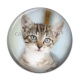 Cabochon Résine - chat