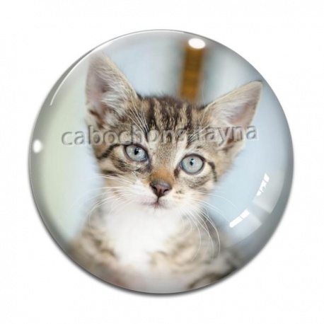 Cabochon Verre - chat