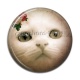 Cabochon Résine - chat
