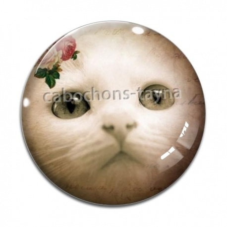 Cabochon Verre - chat