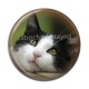 Cabochon Résine - chat