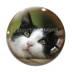 Cabochon Verre - chat