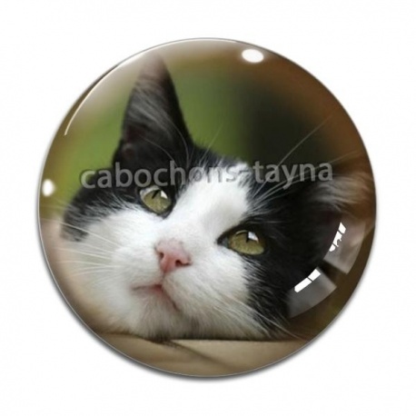 Cabochon Verre - chat